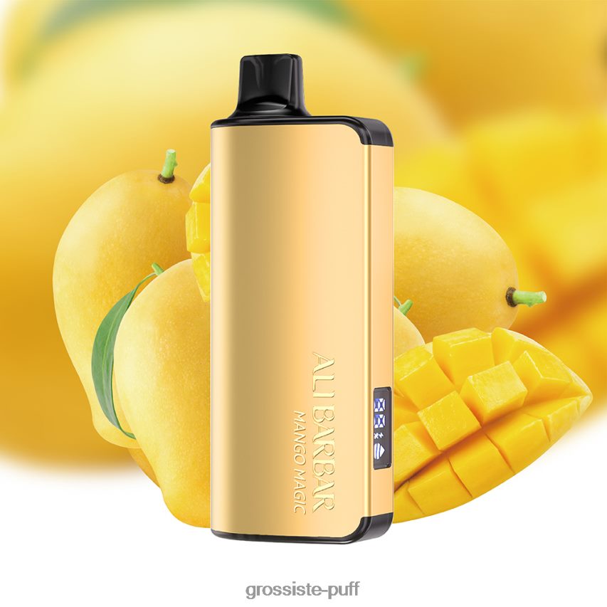 Alibarbar Ingot 9000 Disposable Vape Mango Magic Z0642229