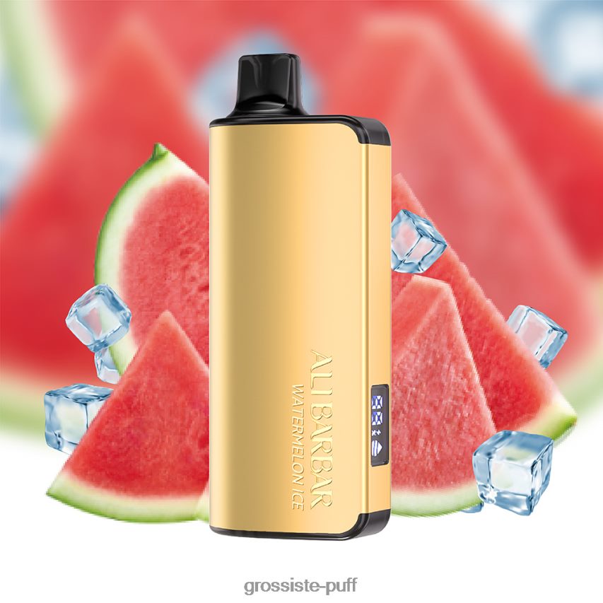 Alibarbar Ingot 9000 Disposable Vape Watermelon Ice Z0642226