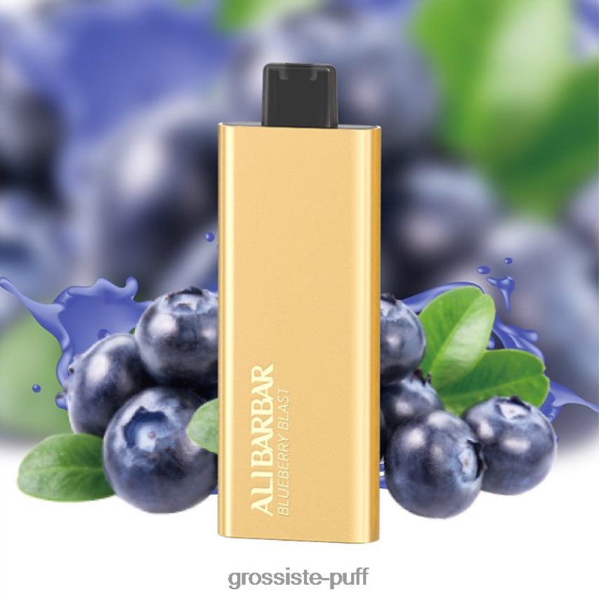 Alibarbar Pandora 7000 Disposable Vape Blueberry Blast Z0642250