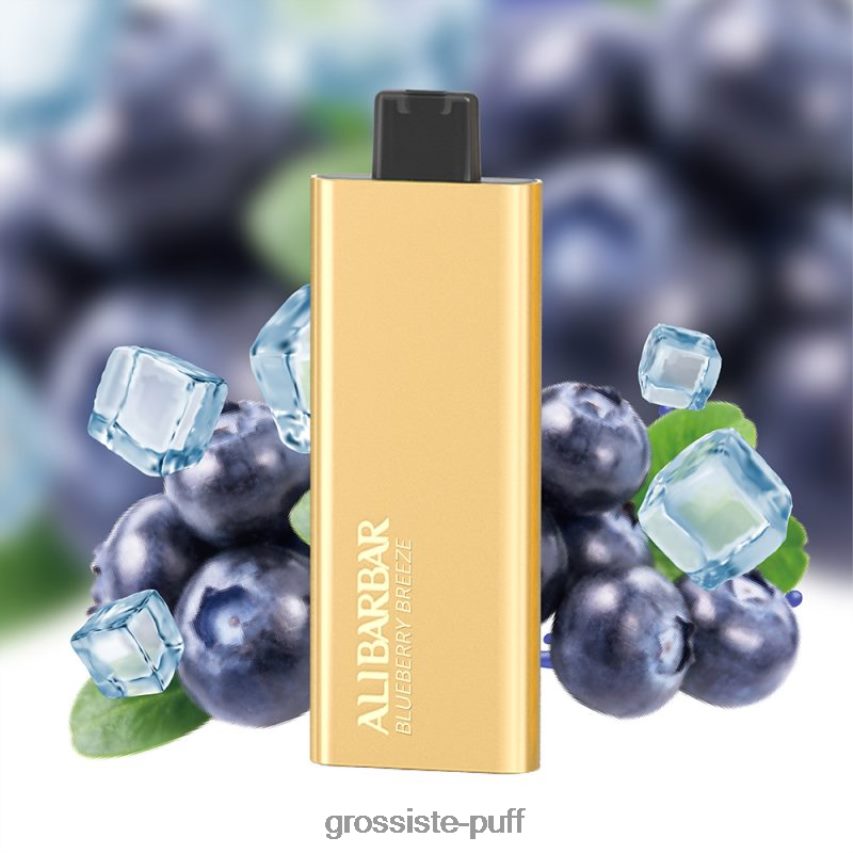 Alibarbar Pandora 7000 Disposable Vape Blueberry Breeze Z0642251 Alibarbar Pandora 7000 Disposable Vape Blueberry Breeze Z0642251