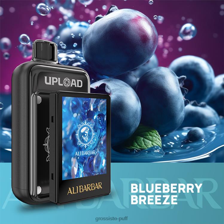 Alibarbar Upload Blueberry breeze 6RJ88113 Alibarbar Upload Blueberry breeze 6RJ88113