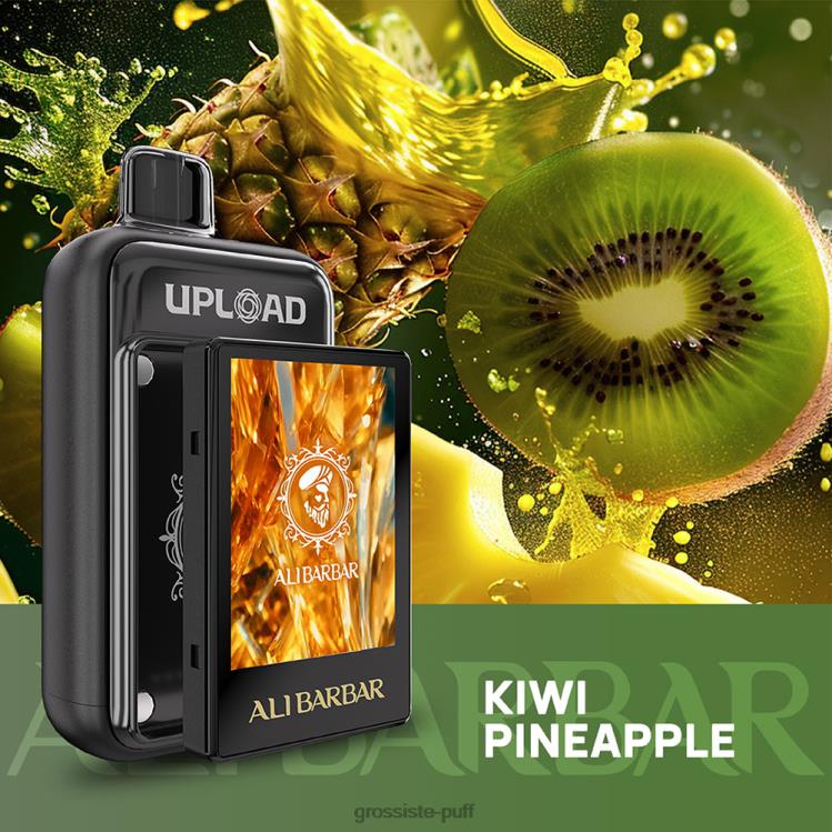 Alibarbar Upload Kiwi pineapple 6RJ88116