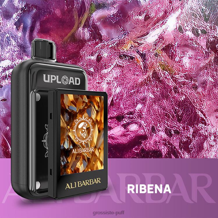 Alibarbar Upload Ribena 6RJ88120
