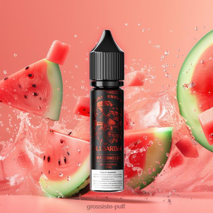Alibarbar Hookah Onyx Dock Watermelon 6RJ88110