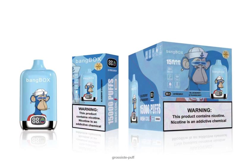 Bang Box 15000 Puffs Blueberry Strawberry L6HJ6638