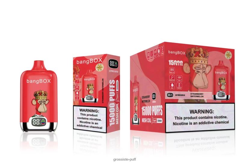 Bang Box 15000 Puffs Strawberry Watermelon L6HJ6647