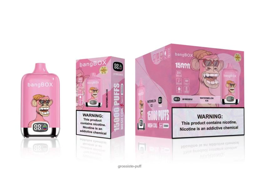 Bang Box 15000 Puffs Watermelon Ice L6HJ6645