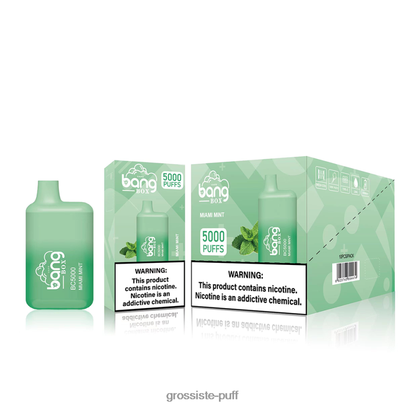 Bang Box BC5000 Disposable L6HJ6687