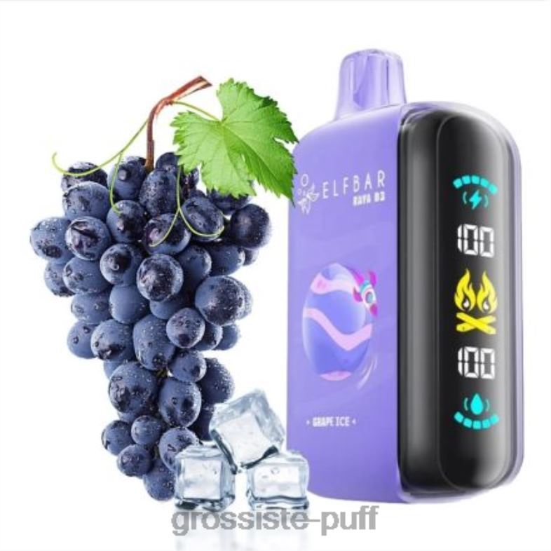 Elf Bar Raya D3 25000 Disposable H6FPR1