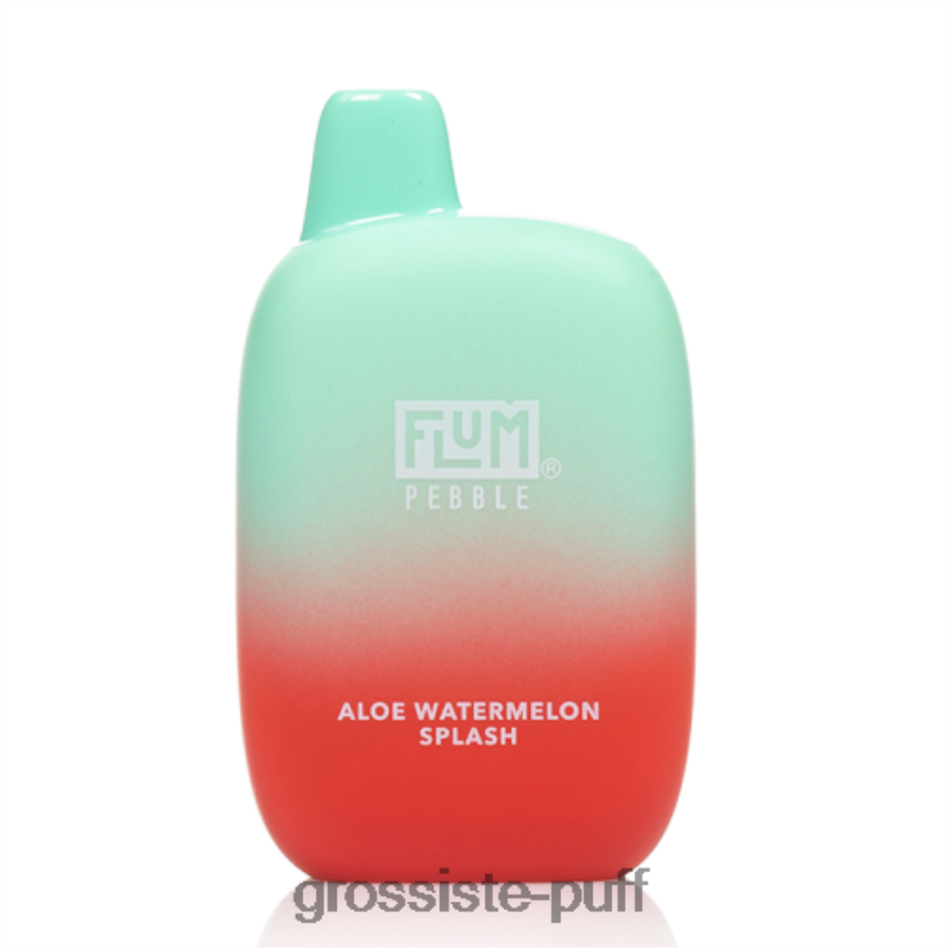 FLUM PEBBLES 6000 PUFFS Aloe Watermelon Splash Z06422157