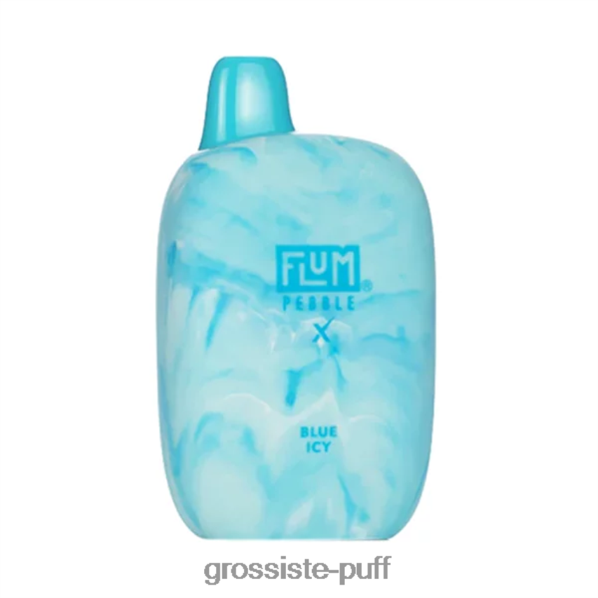 FLUM PEBBLES 6000 PUFFS Blue Icy Z06422162