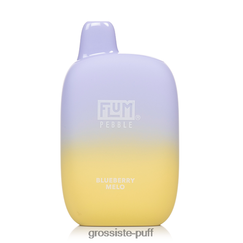 FLUM PEBBLES 6000 PUFFS Blueberry Melo Z06422164