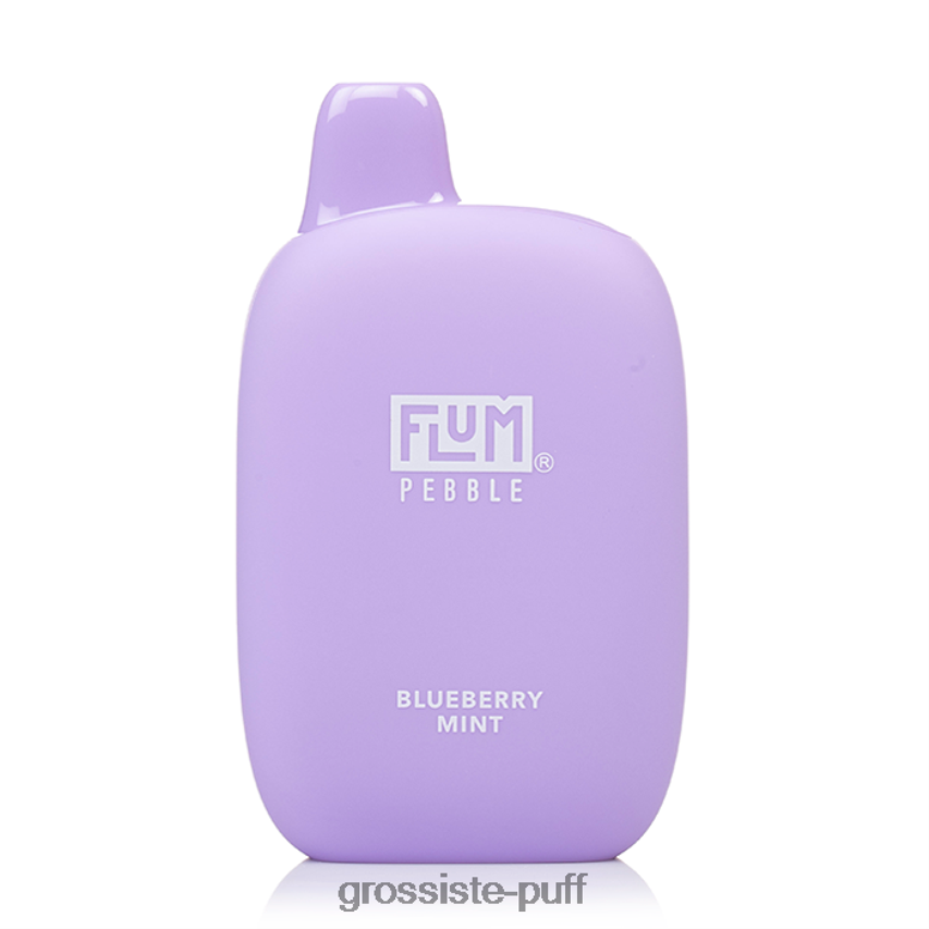 FLUM PEBBLES 6000 PUFFS Blueberry Mint Z06422165