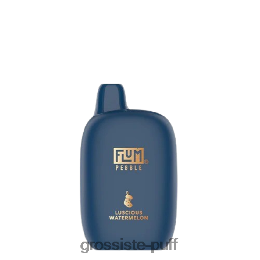 FLUM PEBBLES 6000 PUFFS (Christmas Edition) Luscious Watermelon Z06422149