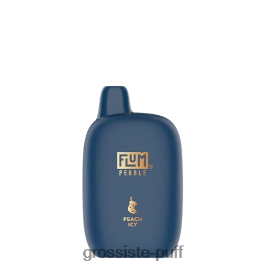 FLUM PEBBLES 6000 PUFFS (Christmas Edition) Peach Icy Z06422150