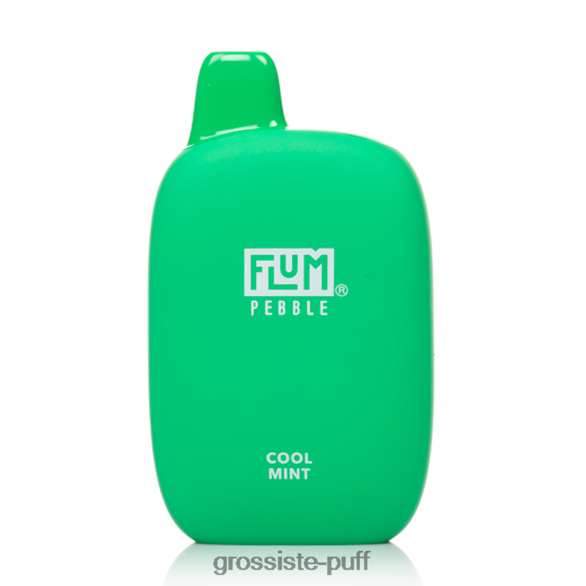 FLUM PEBBLES 6000 PUFFS Cool Mint Z06422168