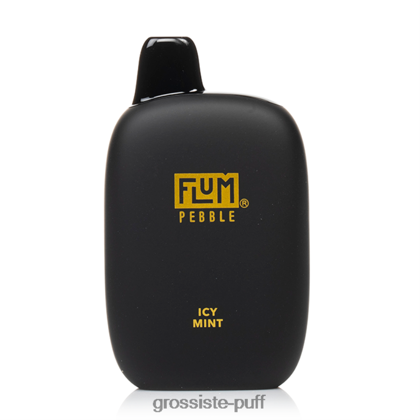 FLUM PEBBLES 6000 PUFFS Icy Mint Z06422172