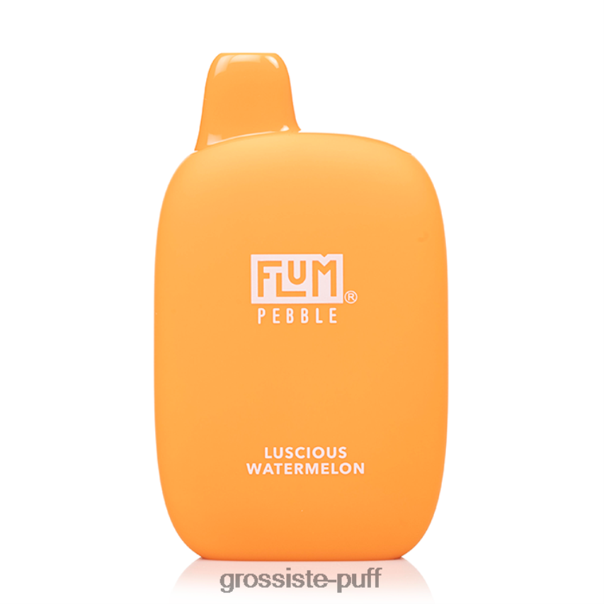 FLUM PEBBLES 6000 PUFFS Luscious Watermelon Z06422173