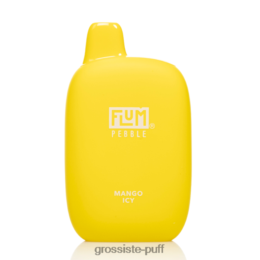 FLUM PEBBLES 6000 PUFFS Mango Icy Z06422174