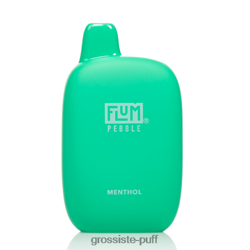 FLUM PEBBLES 6000 PUFFS Menthol Z06422177