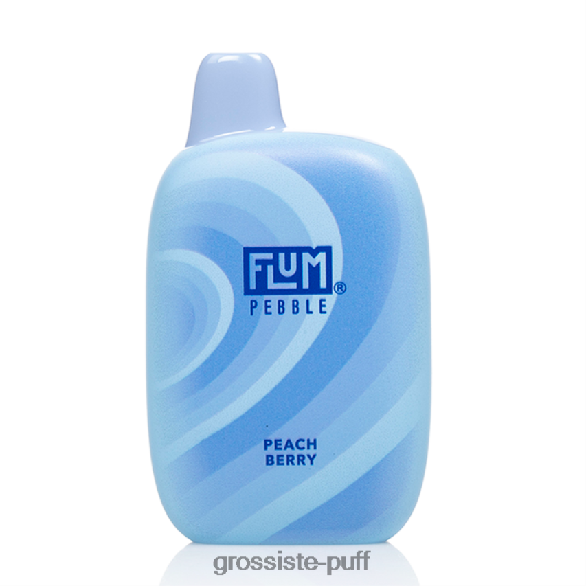 FLUM PEBBLES 6000 PUFFS Peach Berry Z06422179