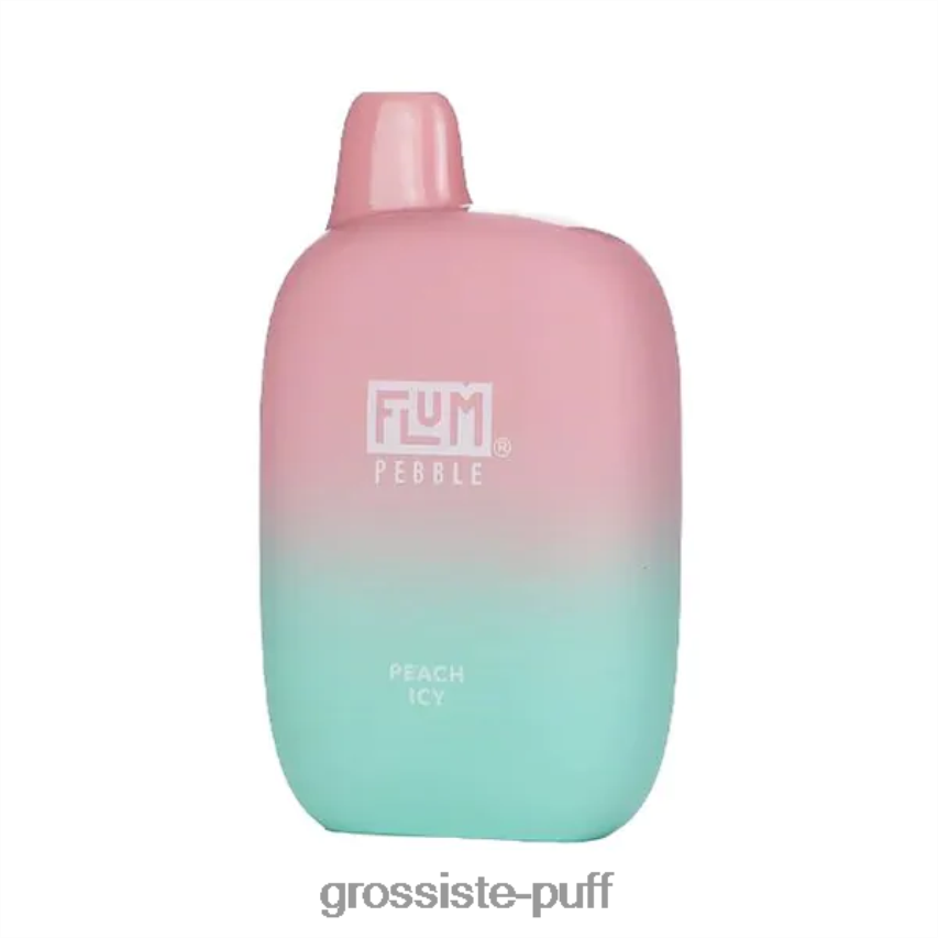 FLUM PEBBLES 6000 PUFFS Peach Icy Z06422180
