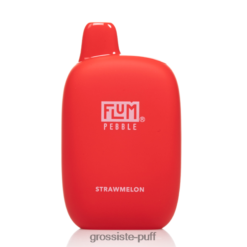 FLUM PEBBLES 6000 PUFFS Strawmelon Z06422189