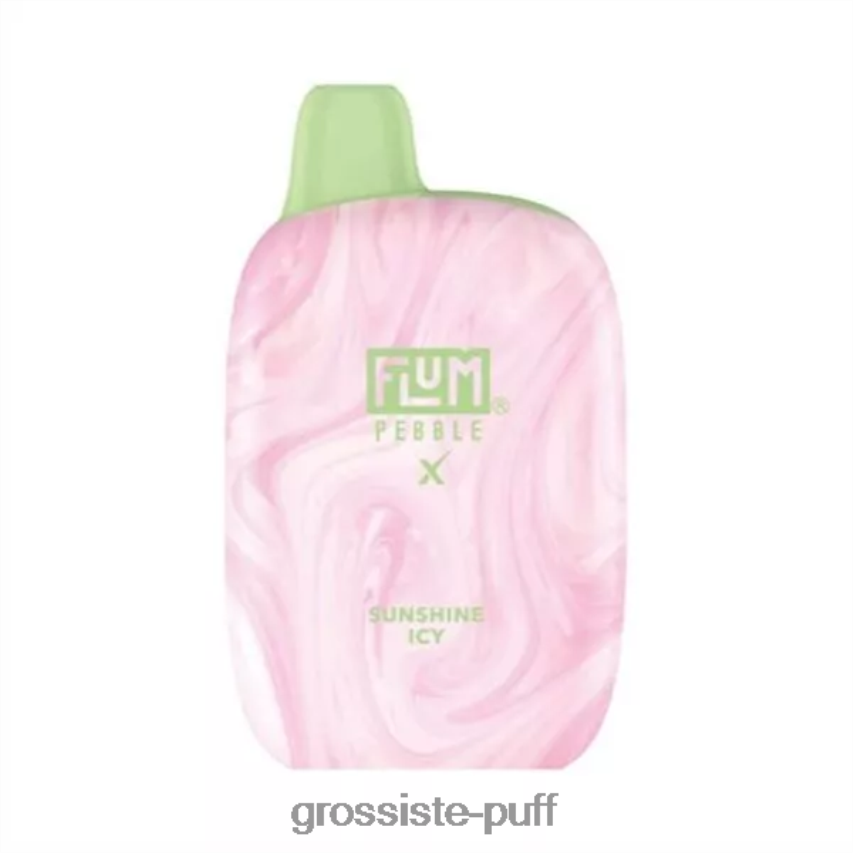 FLUM PEBBLES 6000 PUFFS Sunshine Icy Z06422192