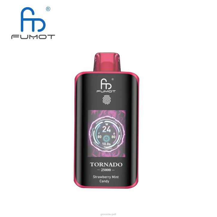 Fumot Tornado 25000 Disposable Vape Strawberry Mint Candy D06T15