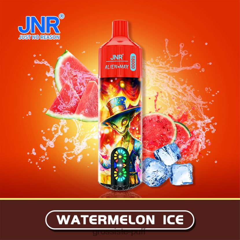 JNR ALIEN MAX Watermelon Ice 0FPL40581 JNR ALIEN MAX Watermelon Ice 0FPL40581