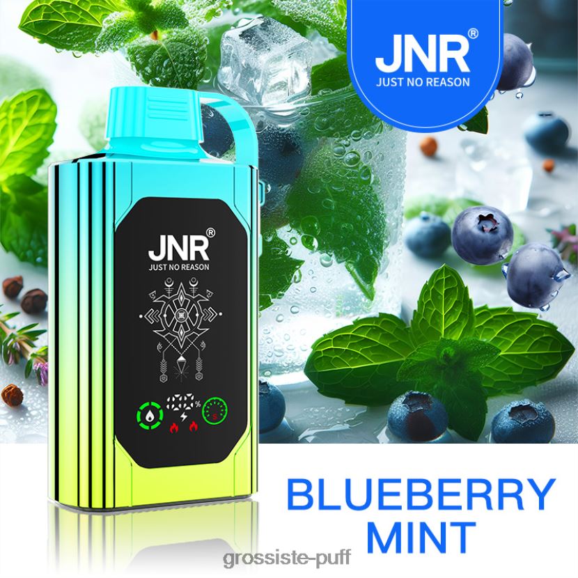 JNR SHISHA BOX Blueberry Mint 0FPL40618 JNR SHISHA BOX Blueberry Mint 0FPL40618
