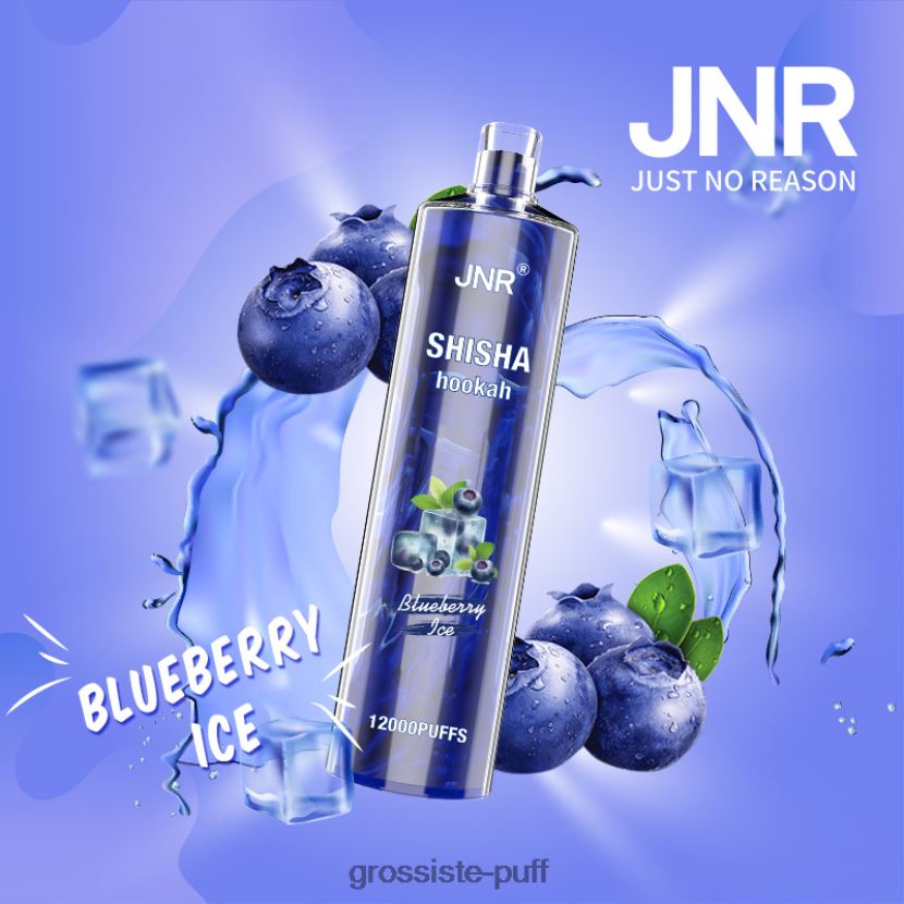 JNR SHISHA Blueberry Ice 0FPL40671