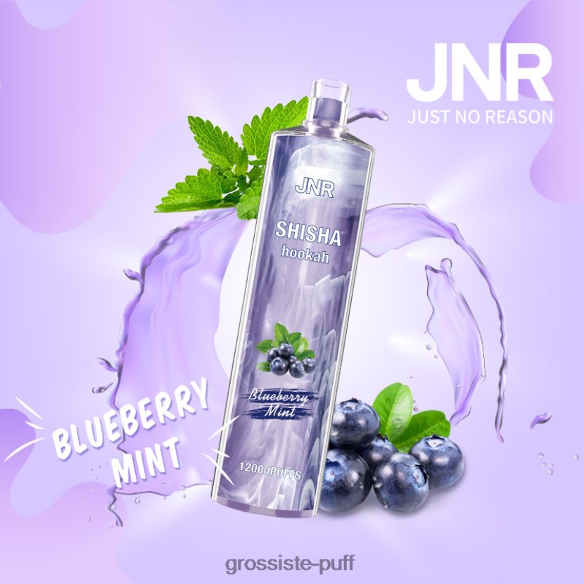JNR SHISHA Blueberry Mint 0FPL40672 JNR SHISHA Blueberry Mint 0FPL40672