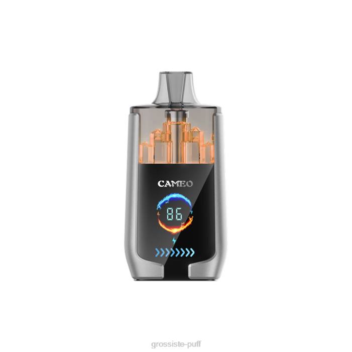LAVIE CAMEO 30000 Puffs Blueberry Ice 406815