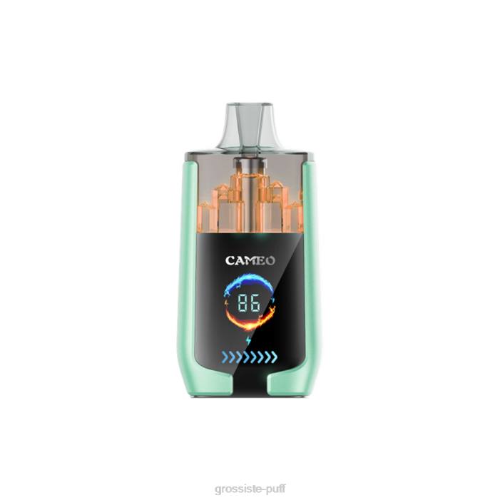 LAVIE CAMEO 30000 Puffs Double Apple 406820