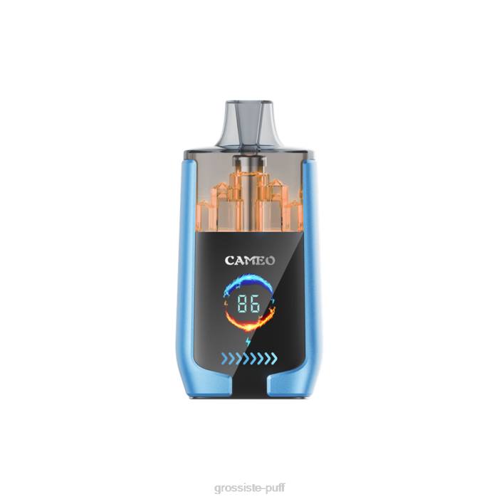 LAVIE CAMEO 30000 Puffs Strawberry Ice 406813