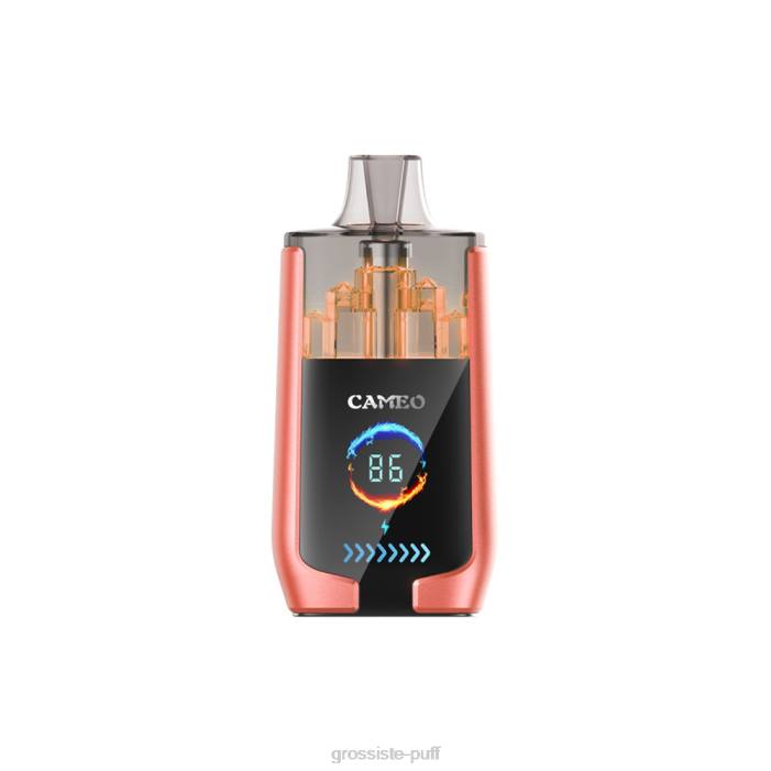 LAVIE CAMEO 30000 Puffs Strawberry Watermelon 406824 LAVIE CAMEO 30000 Puffs Strawberry Watermelon 406824