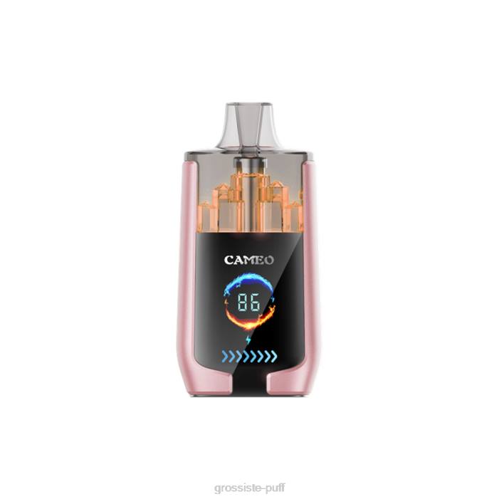 LAVIE CAMEO 30000 Puffs Tropical Fruit 406819