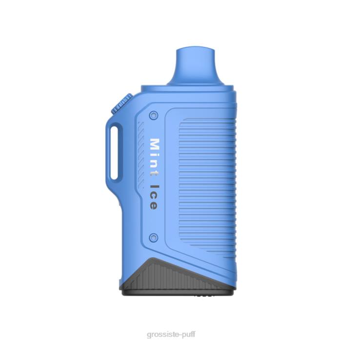 LAVIE Energy Box 15000 Puffs Mint Ice 406872