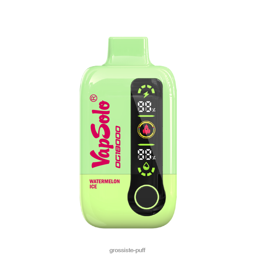 VapSoloWatermelon Ice N6XFLF10 VapSoloWatermelon Ice N6XFLF10