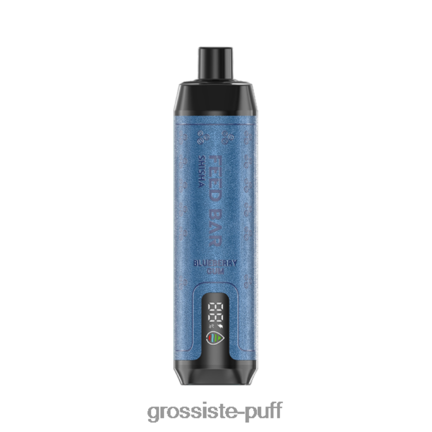Vapsolo SHISHA Disposable Vape Blueberry Gum Z0642298