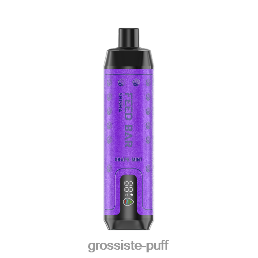 Vapsolo SHISHA Disposable Vape Grape Mint Z06422100