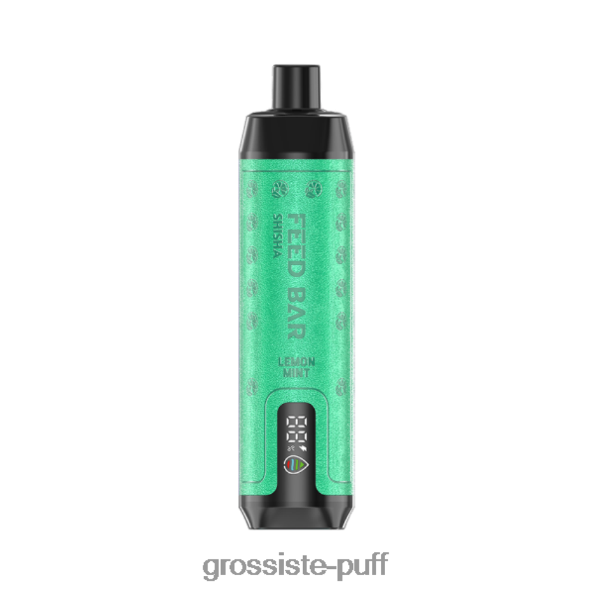 Vapsolo SHISHA Disposable Vape Lemon Mint Z06422101