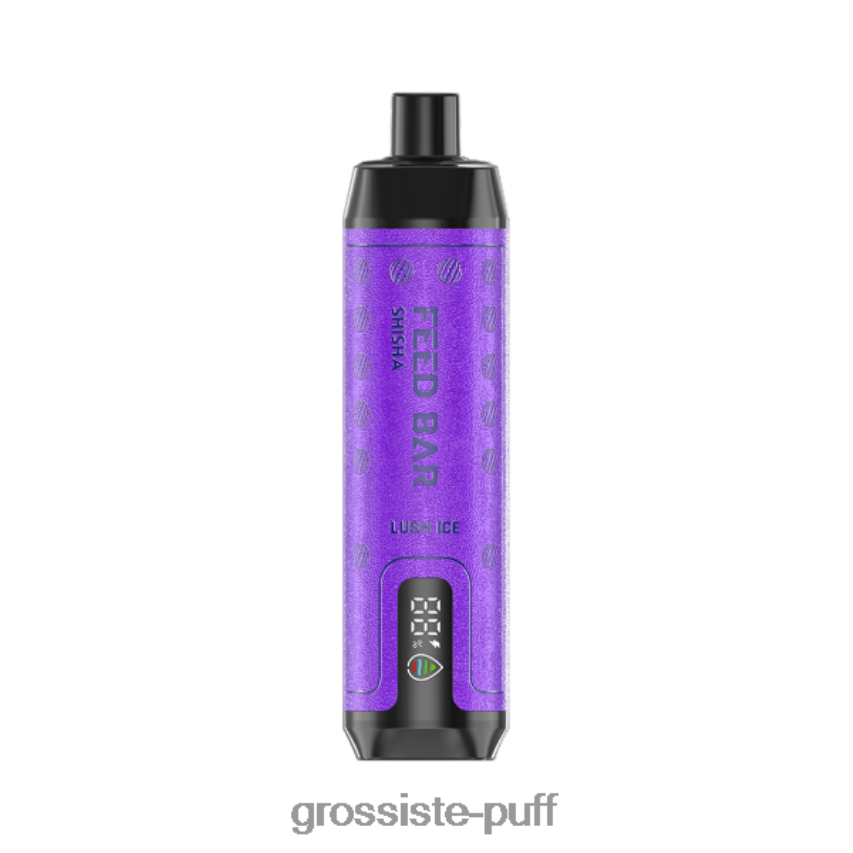 Vapsolo SHISHA Disposable Vape Lush Ice Z06422102