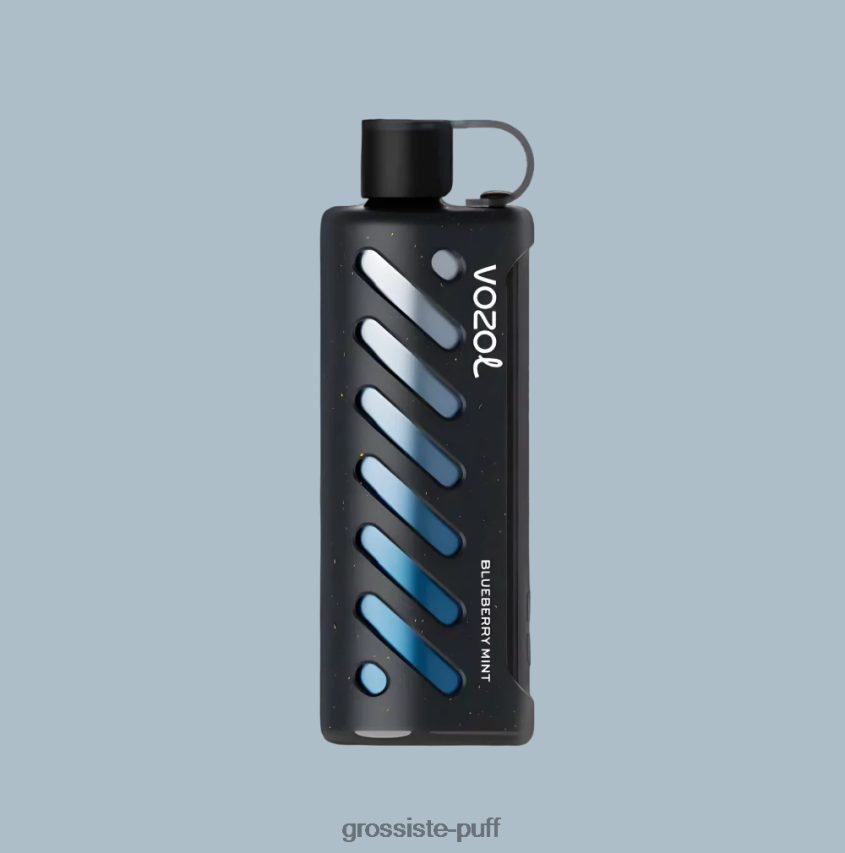 Vozol Gear Shisha 25000 Multi Z06422143