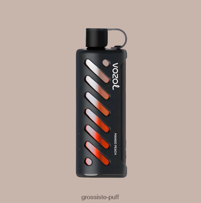 Vozol Gear Shisha 25000 Multi Z06422143