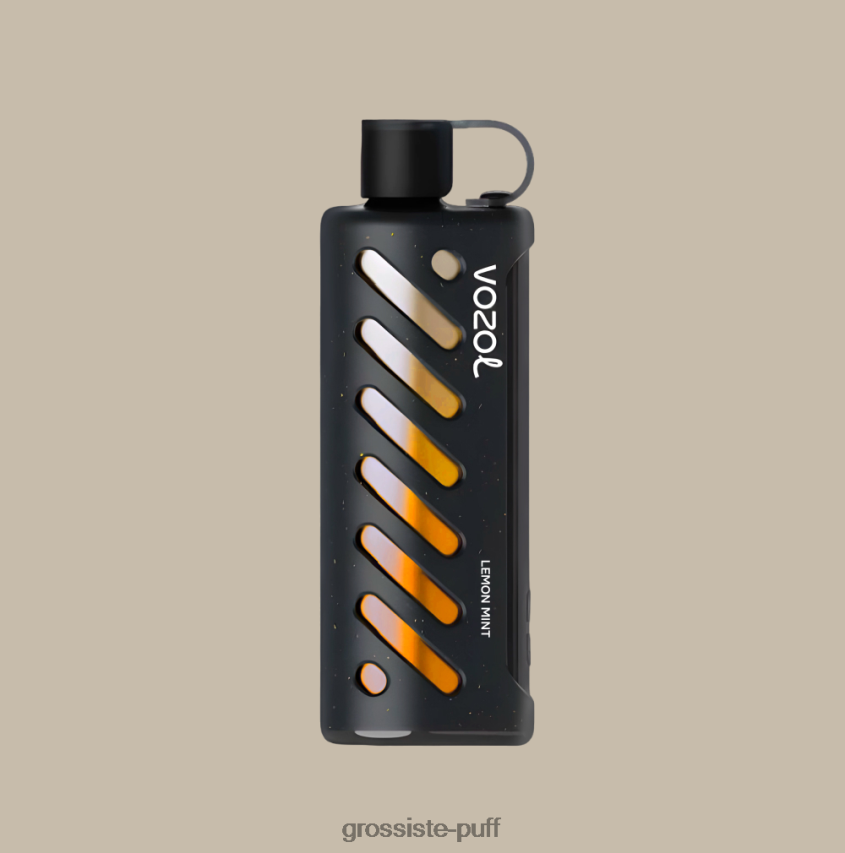 Vozol Gear Shisha 25000 Multi Z06422143