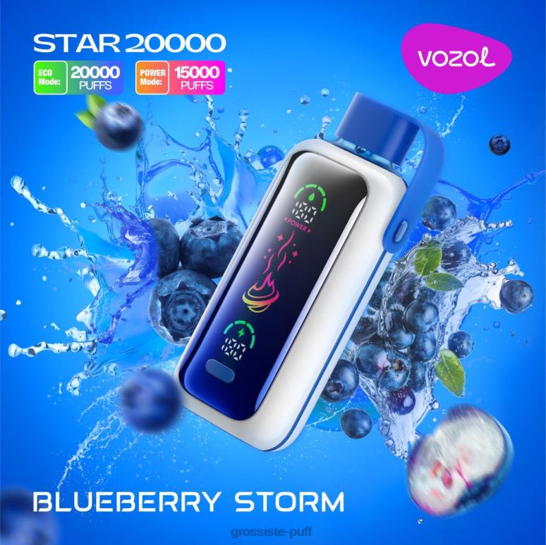 VOZOL STAR 20000 BLUEBERRY STORM R8T805