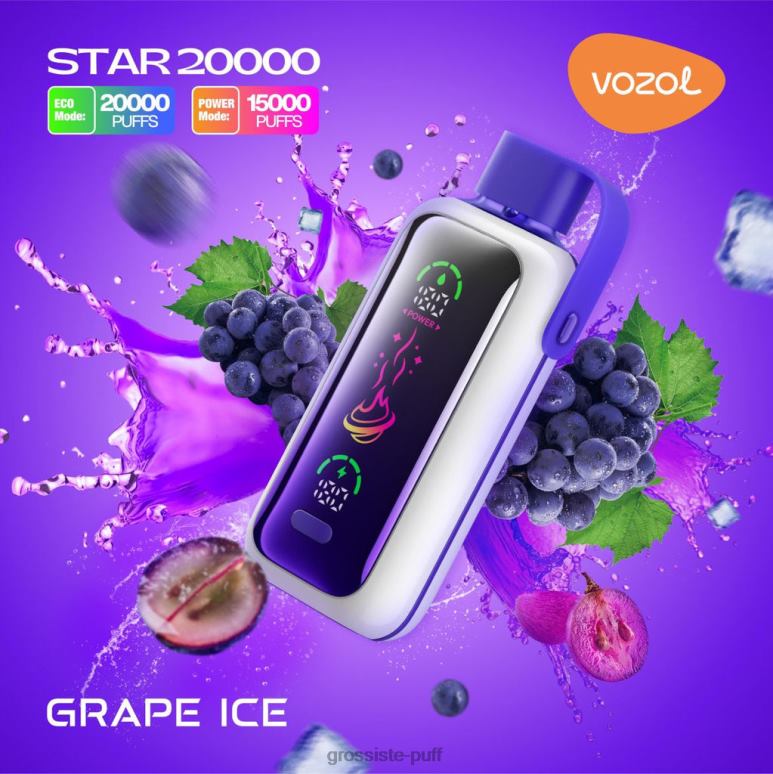 VOZOL STAR 20000 GRAPE ICE R8T809